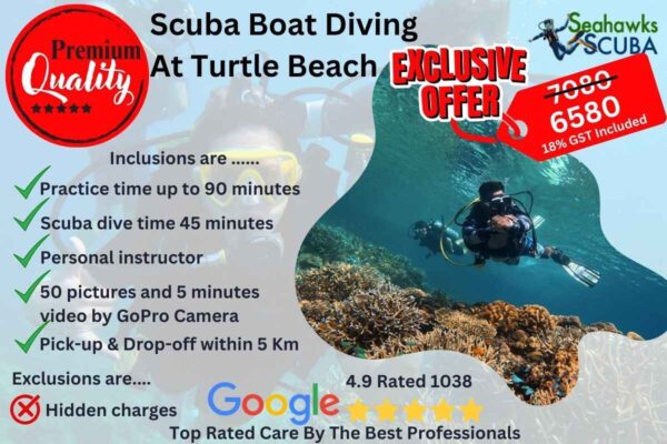 Premium Scuba at Turtle Beach