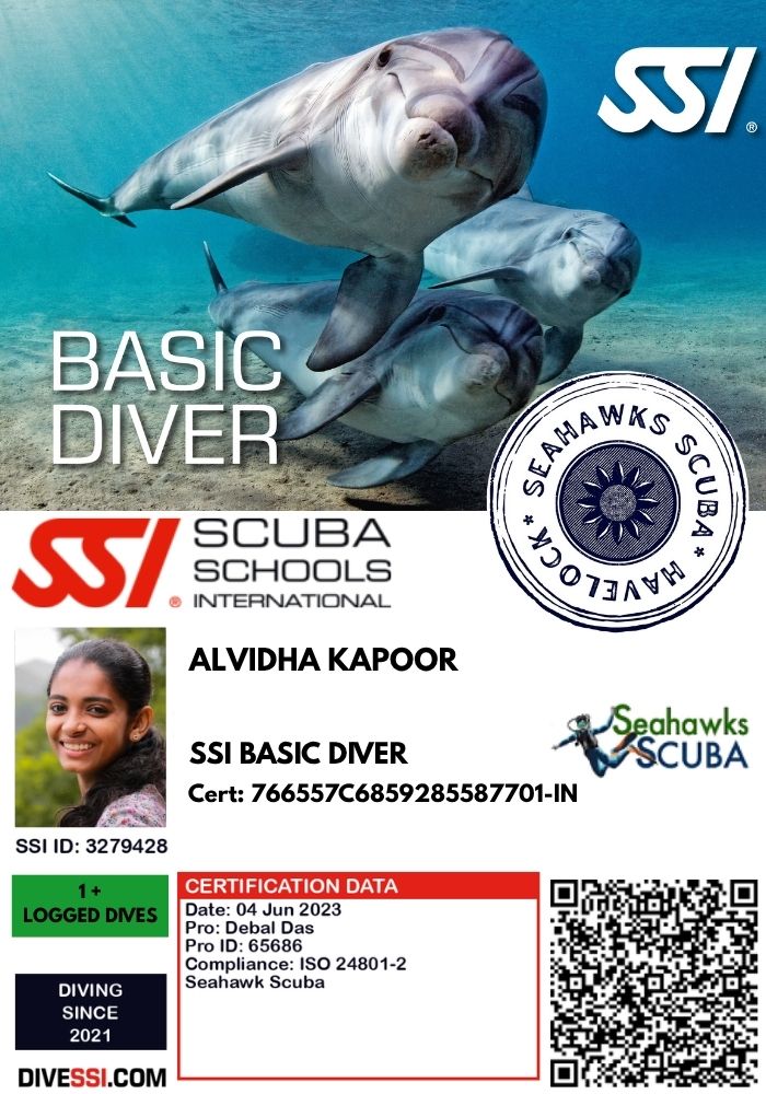 Basic diver course for beginners