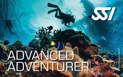 Advanced adventure diver course