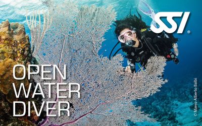 Open water diver course