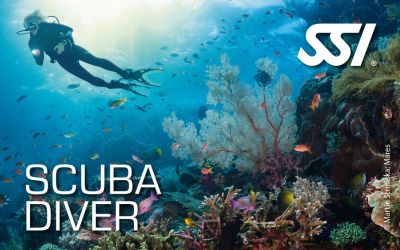 Scuba diver course