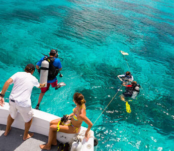 high angle view of divers getting ready for a diving excursion in the Caribbean high angle view of divers getting ready for a diving excursion in the Caribbean