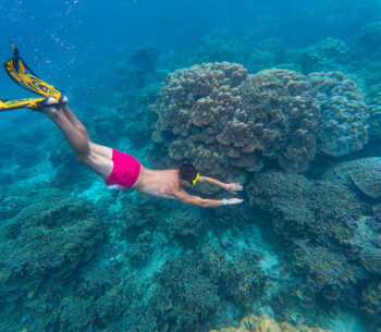 snorkelling combo package in havelock snorkelling combo package in havelock