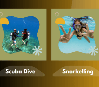 scuba and snorkelling scuba dive and snorkelling